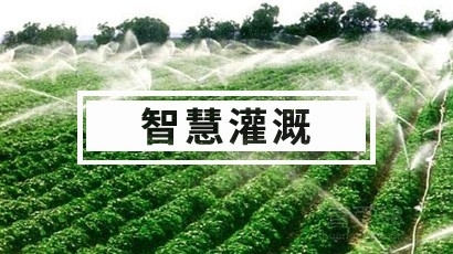 智慧灌溉解决方案